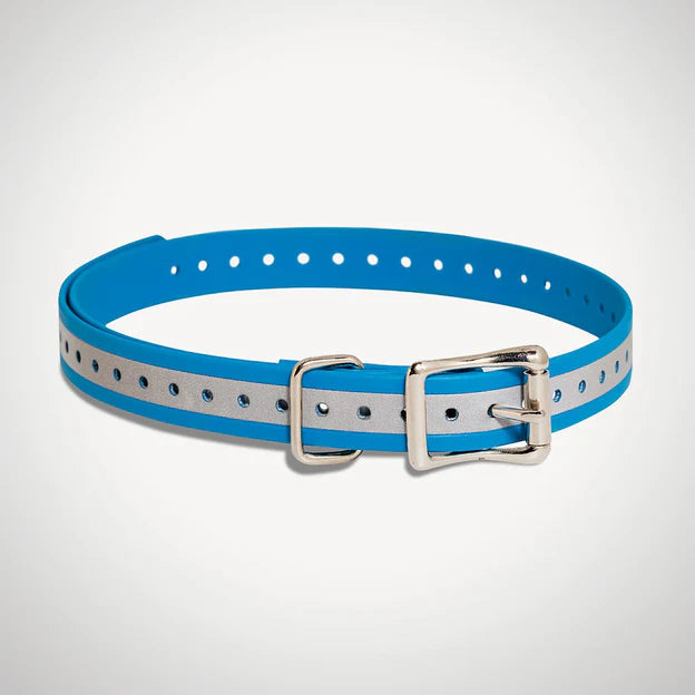 SportDog 3/4 Inch E-collar strap - Blue