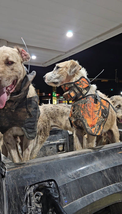Boar Buster PRO Vest (Plate) –  Attached Collar, Extreme Mobility Hog Dog Vest