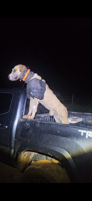 Boar Buster PRO Vest (Plate) –  Attached Collar, Extreme Mobility Hog Dog Vest