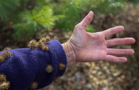 BurzOff Burr Removal Tool - Easily Remove Burrs