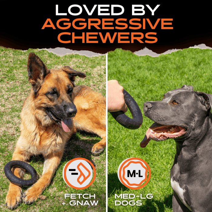 Monster K9 Chew Ring | Heavy Duty Dog Ring for Aggressive Chewers
