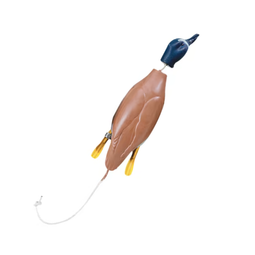 Dokken Dead Fowl Blue Wing Teal Dummy