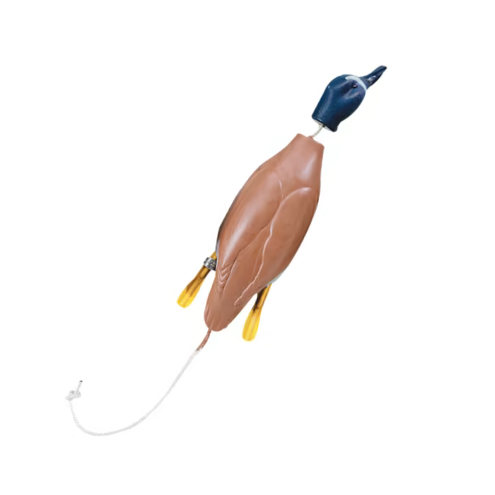 Dokken Dead Fowl Blue Wing Teal Dummy