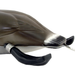 Dokken Canada Goose Trainer