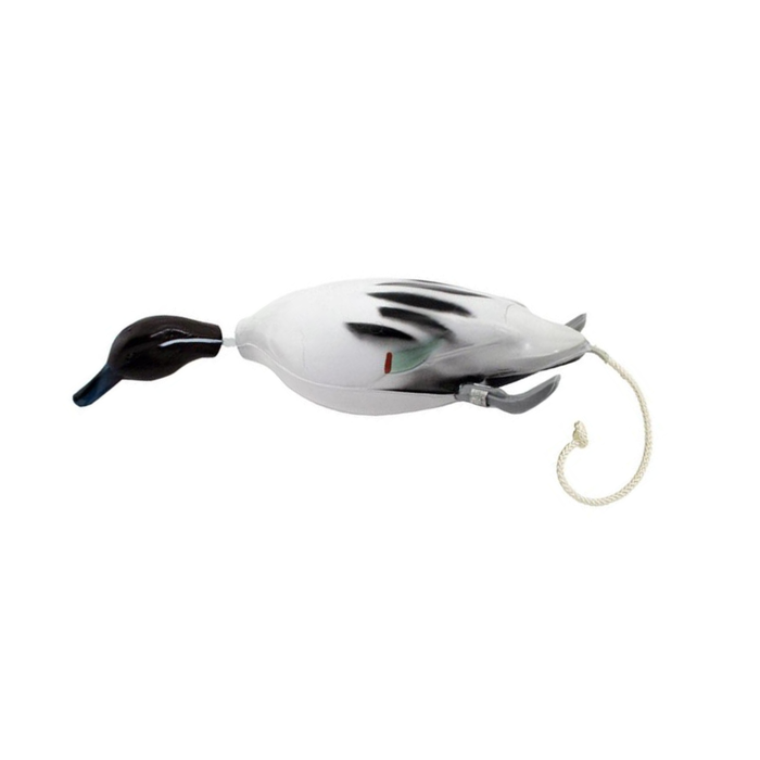 Dokken Pintail Dead Fowl Trainer
