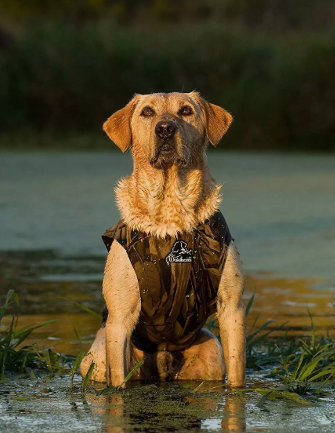 Dokken Neoprene Supervest Xtreme