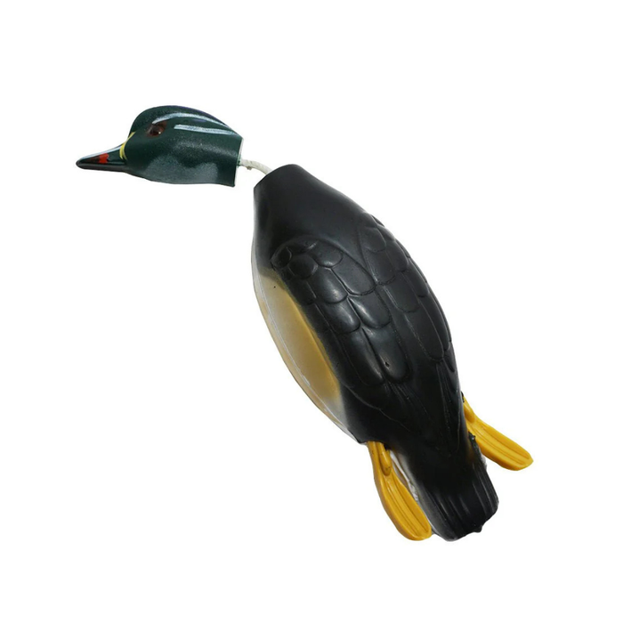Dokken Wood Duck