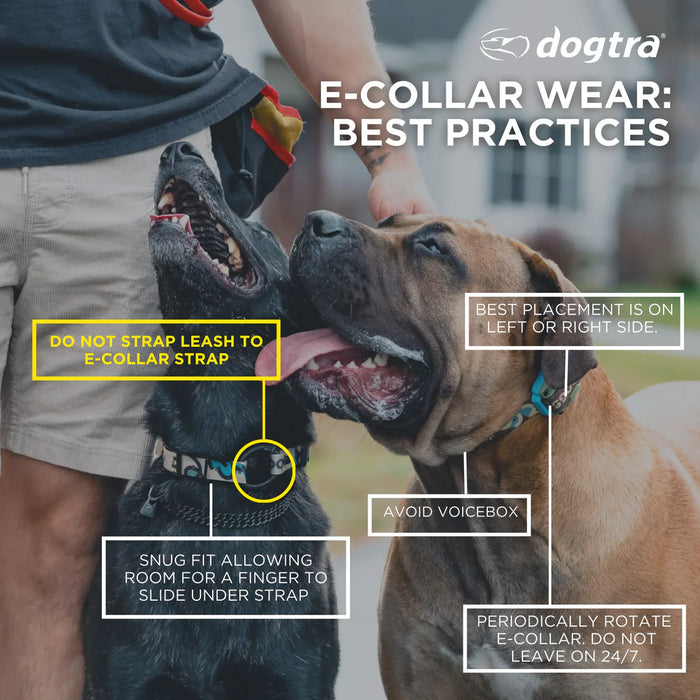 Dogtra REMOTE TRAINING MADE SIMPLE WITH CUE