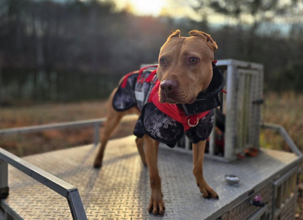 Elite Catch Vest PRO- Attached Collar Extreme Protection