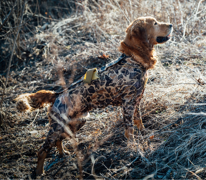 FieldSkin® Camo Suit - Protective Suit for Your Dog