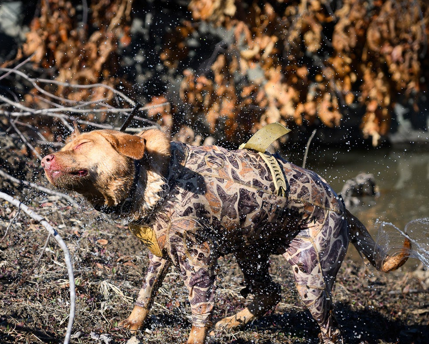 FieldSkin® Camo Suit - Protective Suit for Your Dog