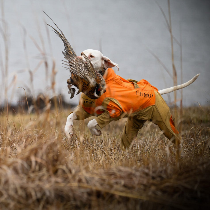 FieldSkin® Blaze Orange Suit - Protective Suit for Your Dog
