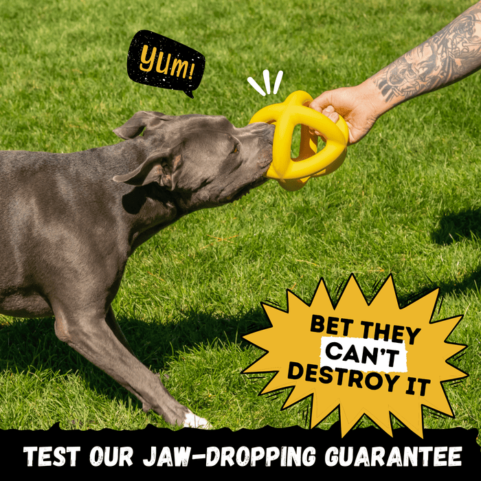 WOOFBITE Giant Halo Ball™ | Heavy Duty Dog Toy for Aggressive Chewers