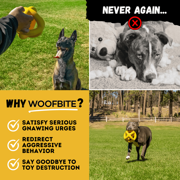 WOOFBITE Giant Halo Ball™ | Heavy Duty Dog Toy for Aggressive Chewers