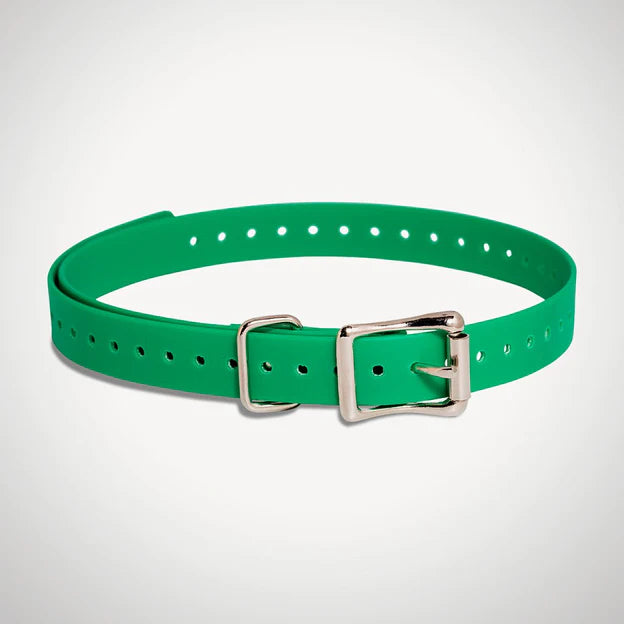 SportDog 3/4 Inch E-collar strap - Green