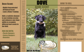 dove dog training scent label 