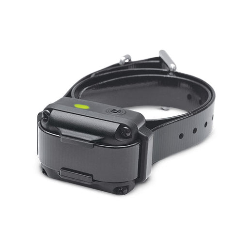 Dogtra IQ Vibe No-Bark Collar