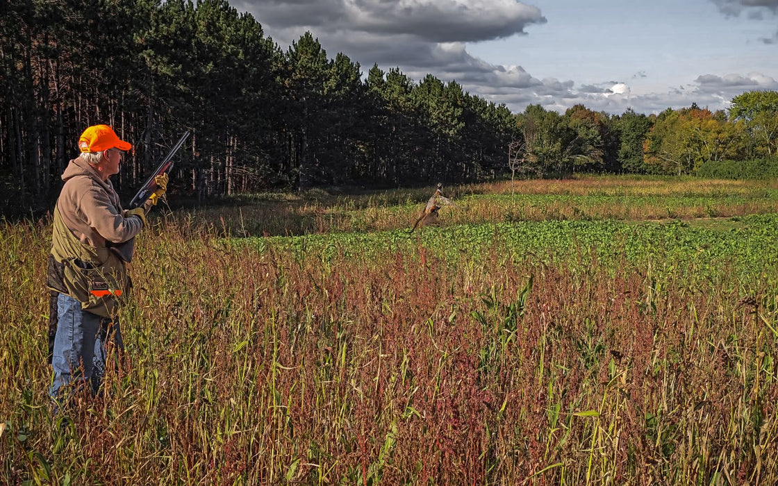 Dirty Bird™ Food Plot Seed