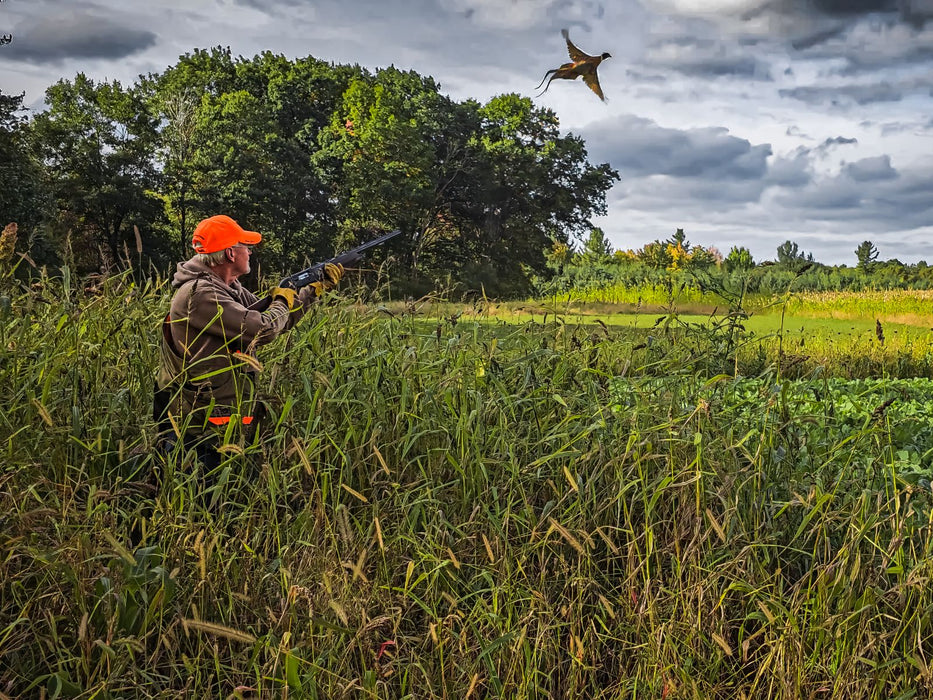 Dirty Bird™ Food Plot Seed