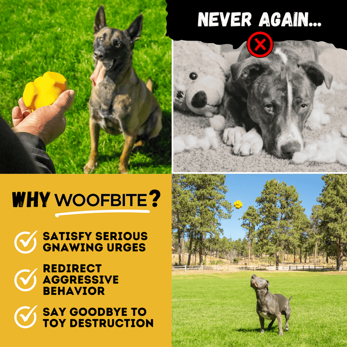 WOOFBITE Juke Ball™| Heavy Duty Dog Ball for Aggressive Chewers