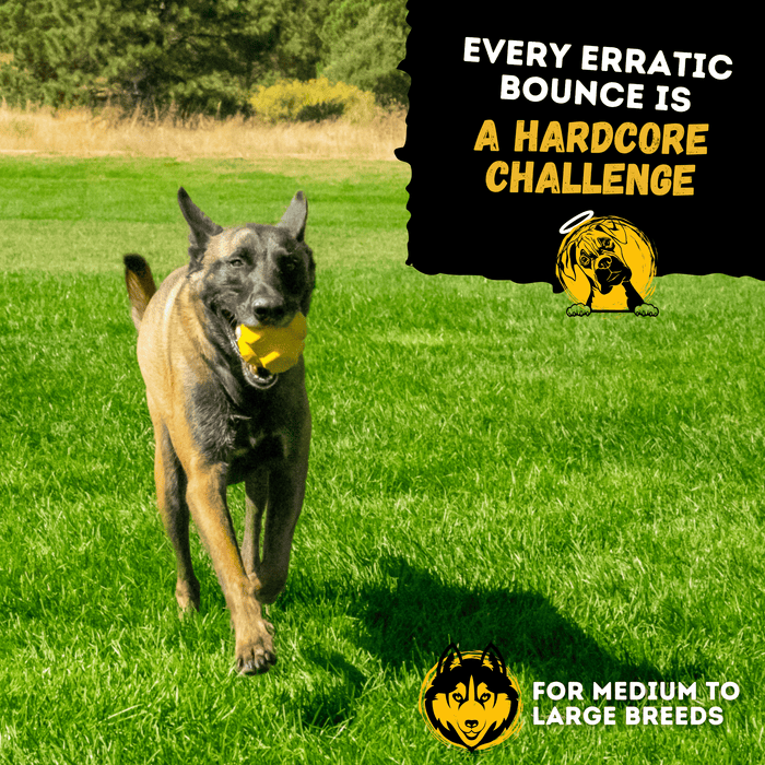 WOOFBITE Juke Ball™| Heavy Duty Dog Ball for Aggressive Chewers