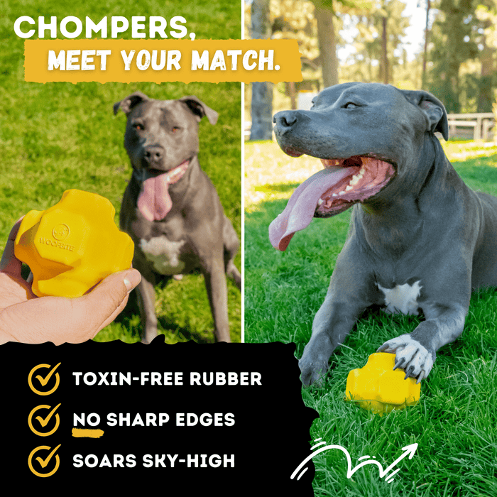 WOOFBITE Juke Ball™| Heavy Duty Dog Ball for Aggressive Chewers