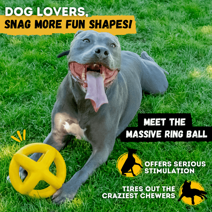 WOOFBITE Juke Ball™| Heavy Duty Dog Ball for Aggressive Chewers