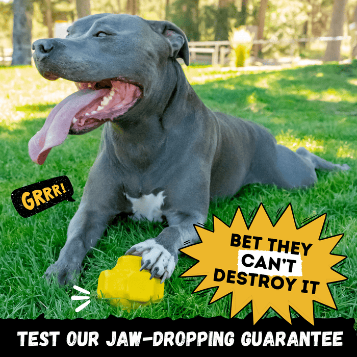 WOOFBITE Juke Ball™| Heavy Duty Dog Ball for Aggressive Chewers