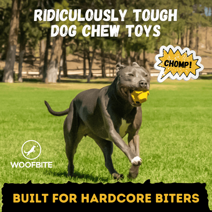 WOOFBITE Juke Ball™| Heavy Duty Dog Ball for Aggressive Chewers