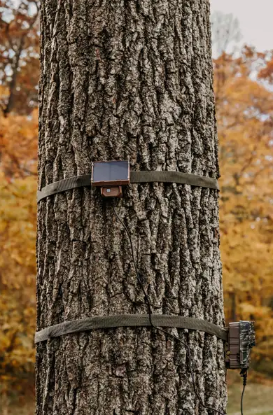 Browning Defender Pro Scout Max AI Trail Camera Bundle with Micro Solar Panel, HuntEmUp Universal Mount, 32GB SD Card & Card Reader