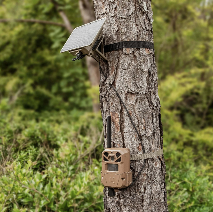 Moultrie EDGE 2 PRO Cellular Trail Camera 2-Pack with 2pc Solar Power Panels & 2pc HuntEmUp Mounts – No-Glow Cams with On-Demand Control & Unlimited Solar Power