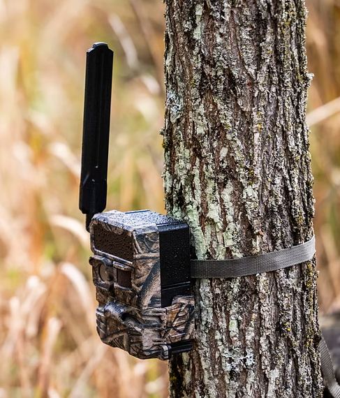 mounted Y2 Yellowstone trail camera