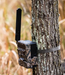 mounted Y2 Yellowstone trail camera