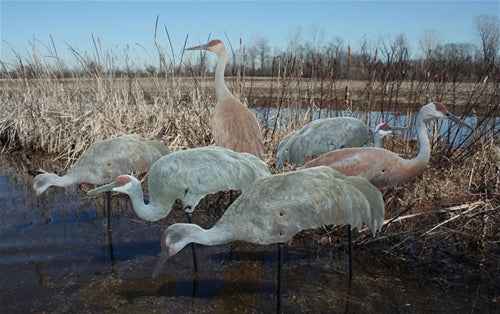 Real-Geese Pro Series II Sandhill Crane Decoys - Silhouette Crane Decoys