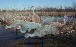 Real-Geese Pro Series II Sandhill Crane Decoys - Silhouette Crane Decoys