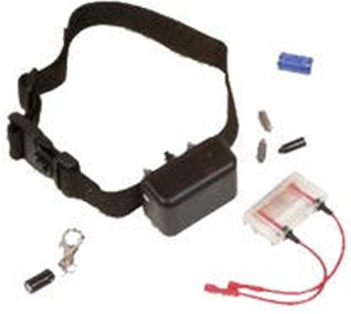 DT Systems 1145 DT Mini No-Bark Training Collar