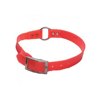 Nylon Dog Collar by Dokken