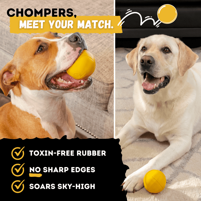 WOOFBITE Brute Ball™ | Heavy Duty Dog Ball for Aggressive Chewers