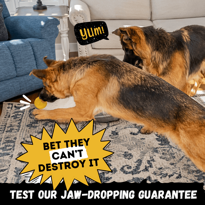 WOOFBITE Brute Ball™ | Heavy Duty Dog Ball for Aggressive Chewers
