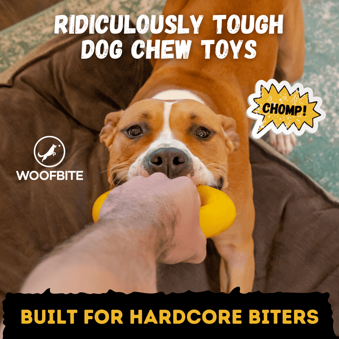 WOOFBITE Clutch Ring™ | Heavy Duty Dog Ring for Aggressive Chewers