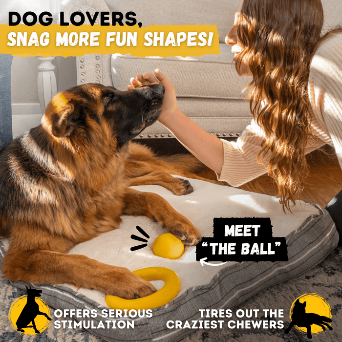 WOOFBITE Clutch Ring™ | Heavy Duty Dog Ring for Aggressive Chewers