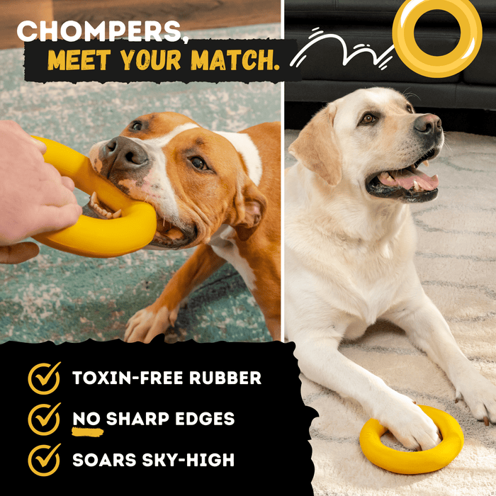 WOOFBITE Clutch Ring™ | Heavy Duty Dog Ring for Aggressive Chewers
