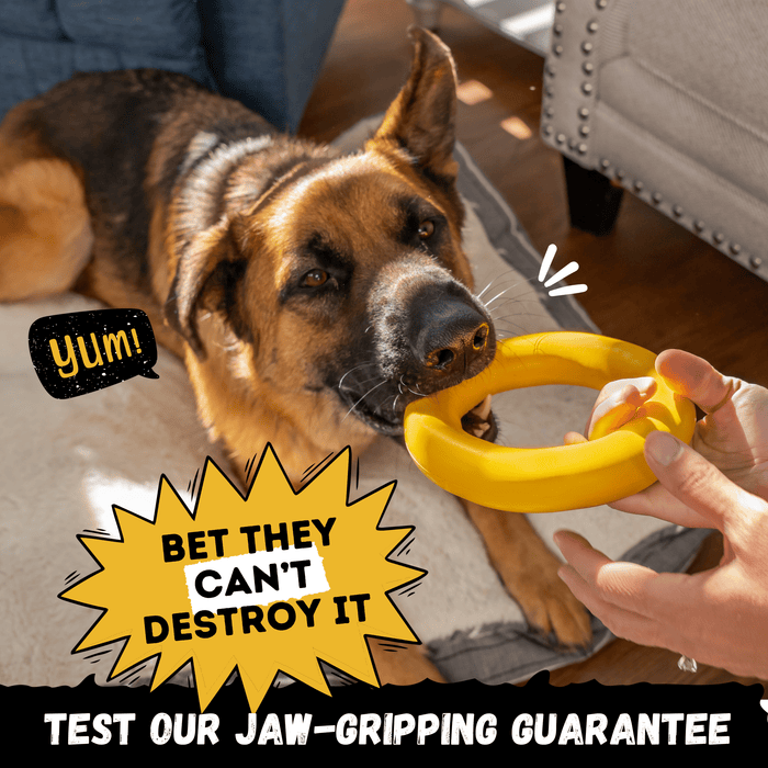 WOOFBITE Clutch Ring™ | Heavy Duty Dog Ring for Aggressive Chewers