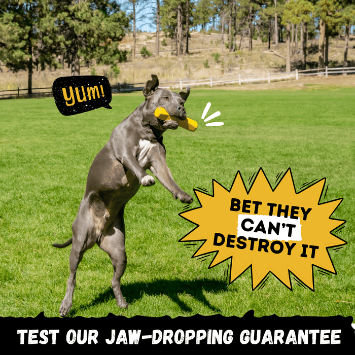WOOFBITE Power Stick™ | Heavy Duty Dog Chew Toy for Aggressive Chewers
