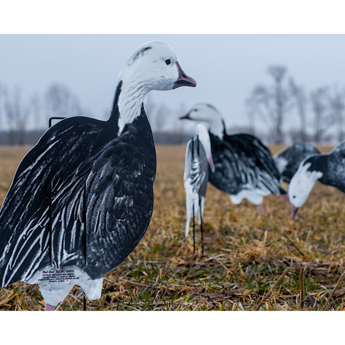 Real geese decoys featherlite econo blue geese