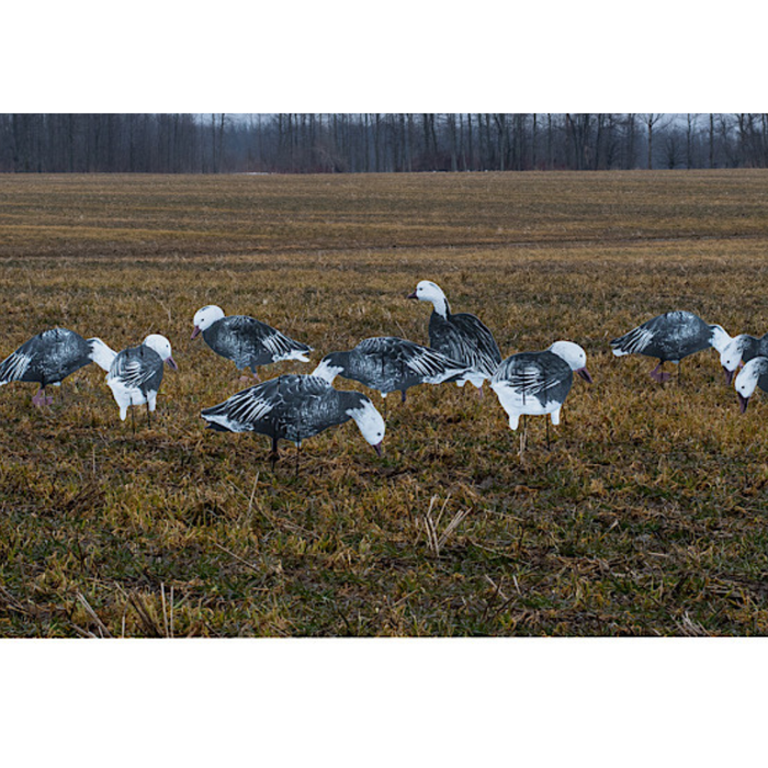 Econo Blue Feather lite goose decoys
