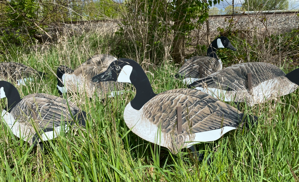 Real-Geese Decoys - Silhouette Decoys — HuntEmUp Outdoors