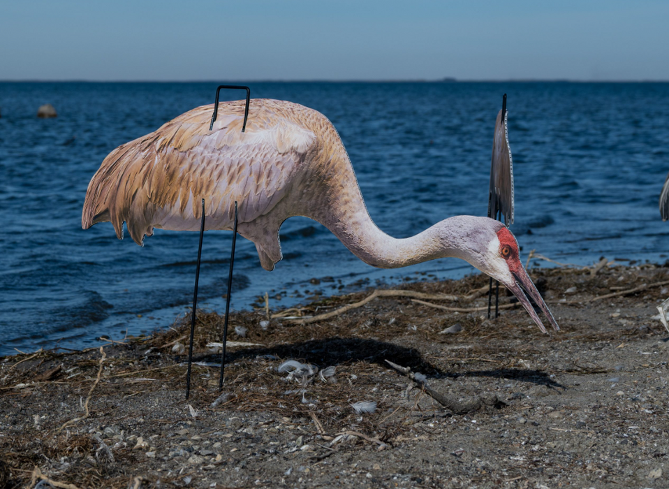 Real-Geese Gen 3 Sandhill Crane Silhouette Decoys – 4 Pack