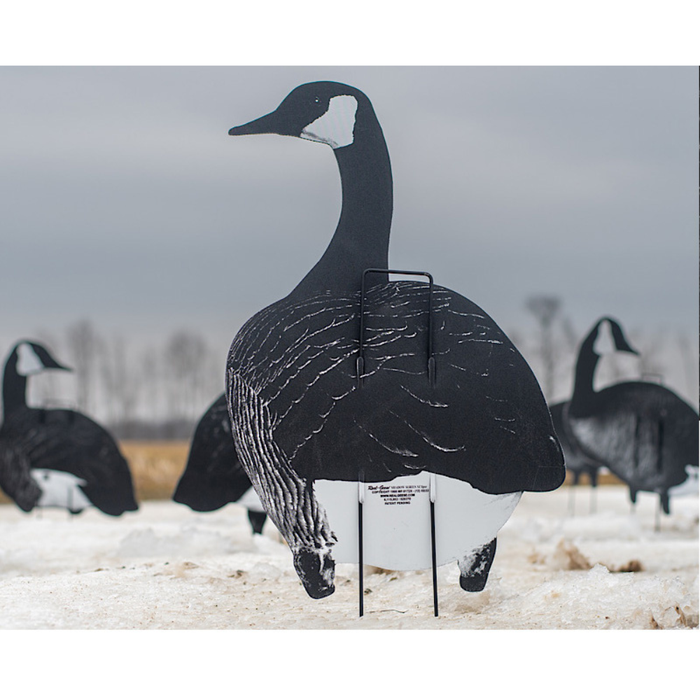 Xclipse real geese upright goose decoys
