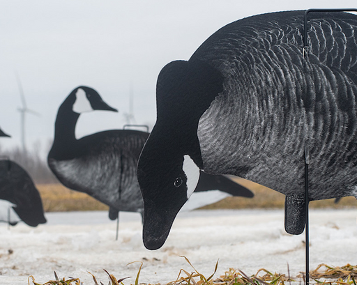 Real Geese Xclipse series silhouette decoys